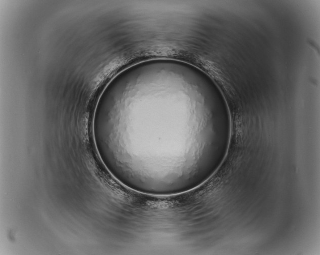 X0000101690679200807171436