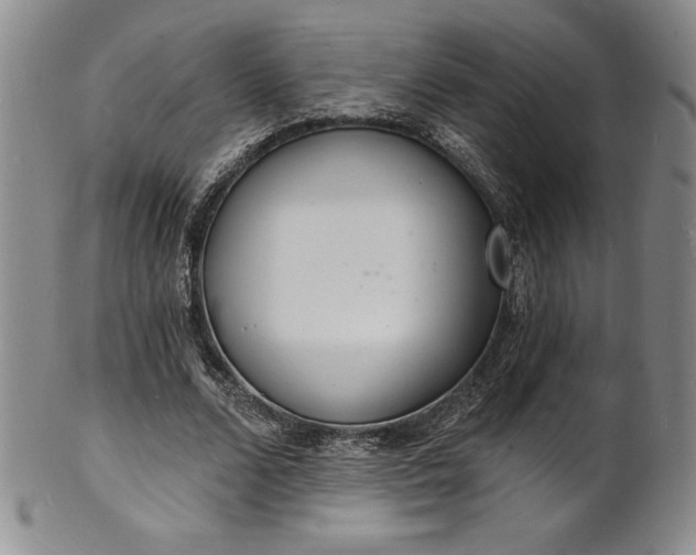 X0000101690680200807171436