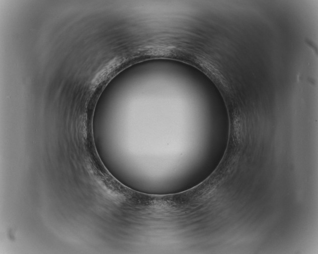 X0000101690682200807171436