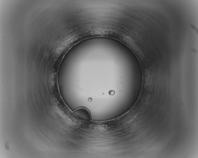 X0000101690683200807171436