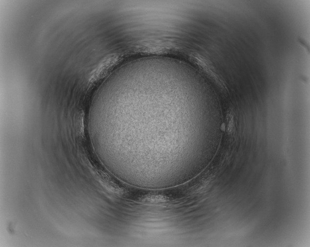 X0000101690685200807171436