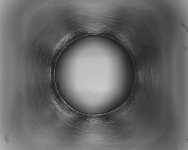 X0000101690686200807171436