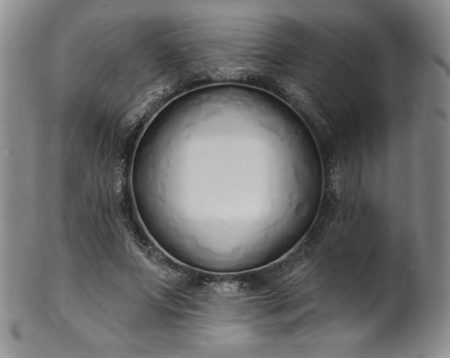 X0000101690687200807171436