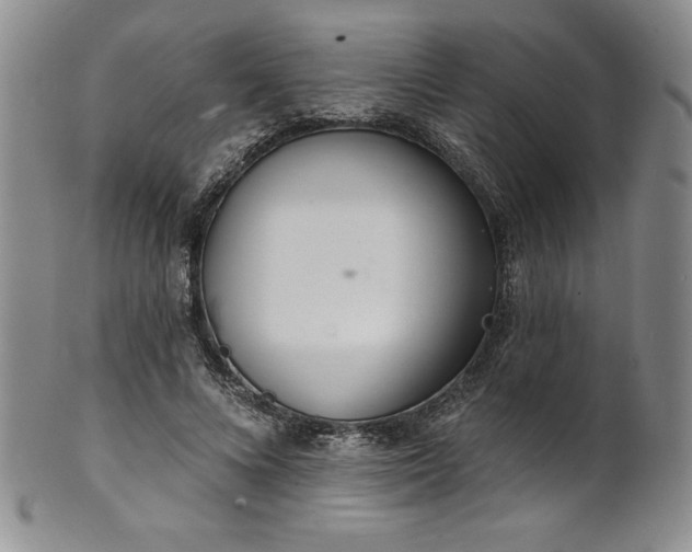 X0000101690688200807171436