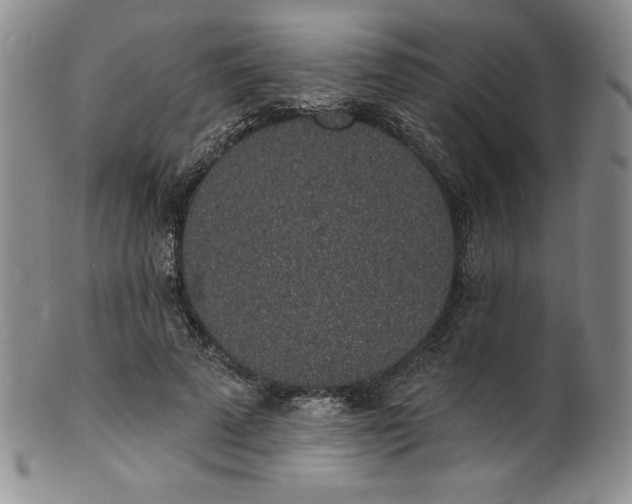 X0000101690689200807171436