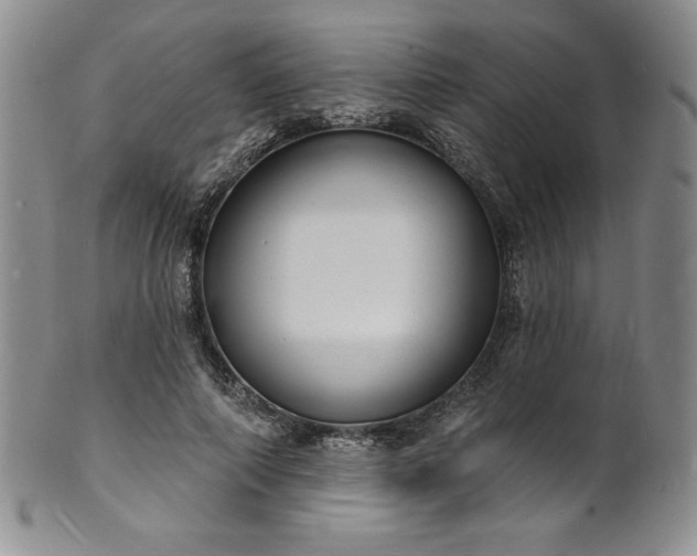 X0000101690690200807171436