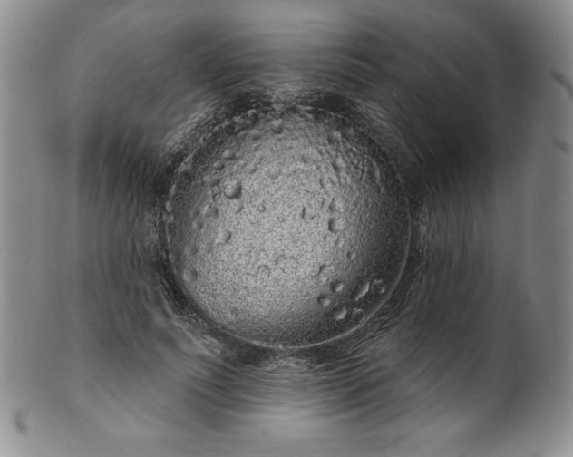 X0000101690691200807171436