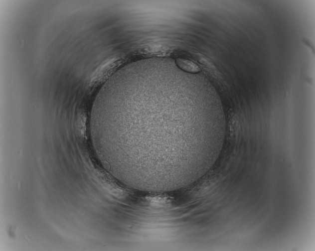 X0000101690693200807171436