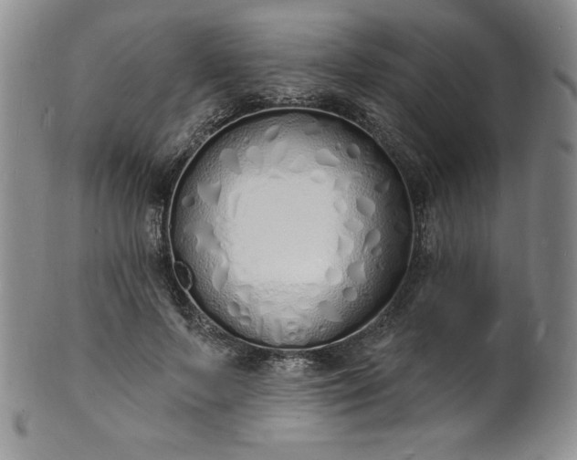 X0000101690695200807171436