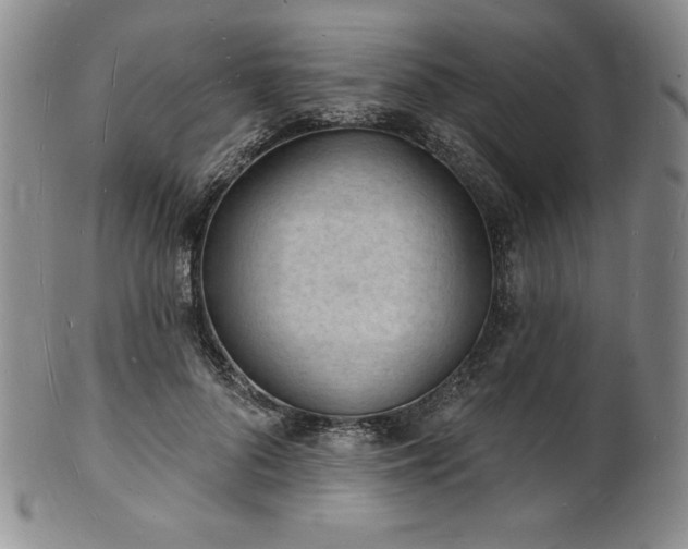 X0000101690696200807171436