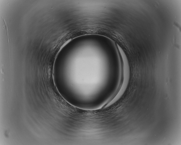 X0000101690697200807171436