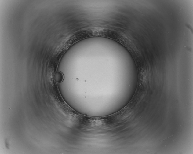 X0000101690698200807171436