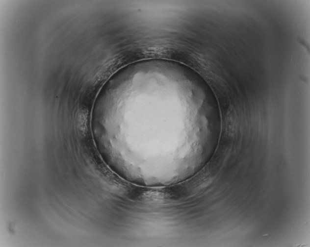 X0000101690699200807171436