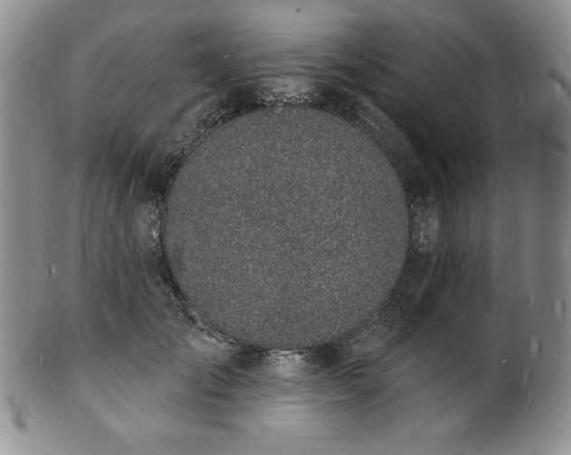 X0000101690701200807171436