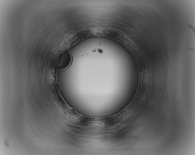 X0000101690702200807171436