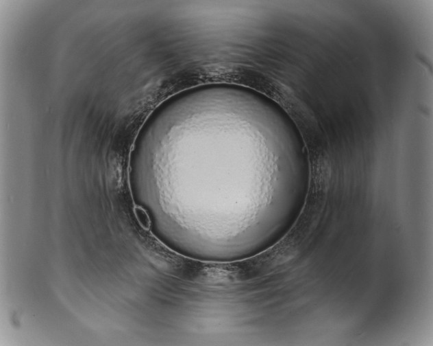 X0000101690703200807171436