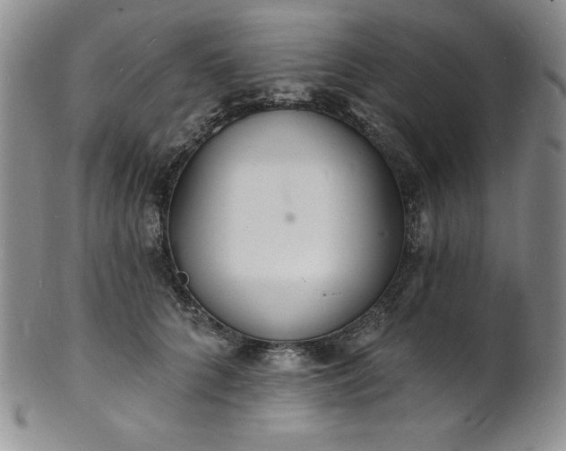 X0000101690704200807171435