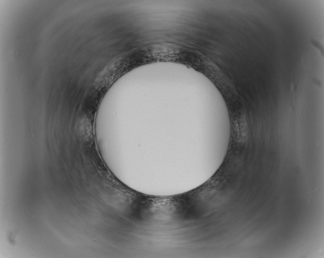 X0000101690705200807171435