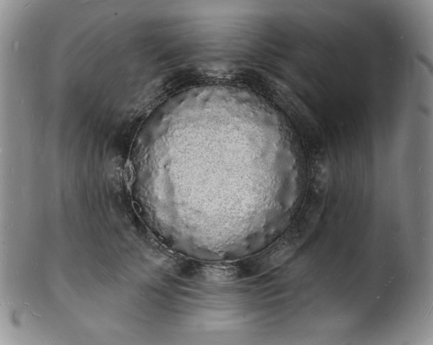 X0000101690707200807171435