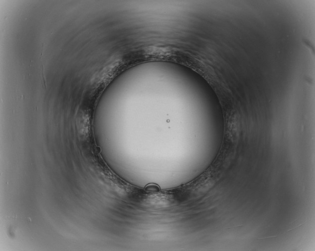 X0000101690708200807171435