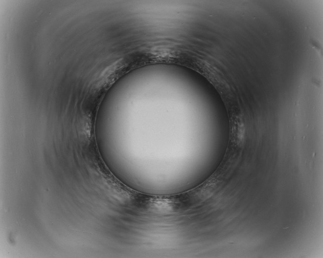 X0000101690710200807171435