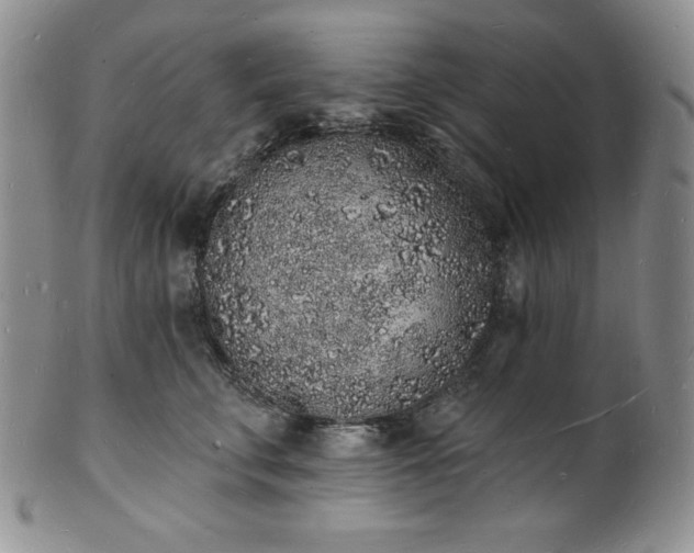 X0000101690711200807171435