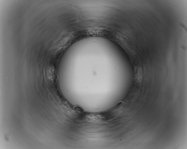 X0000101690712200807171435