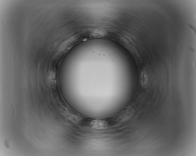 X0000101690714200807171435