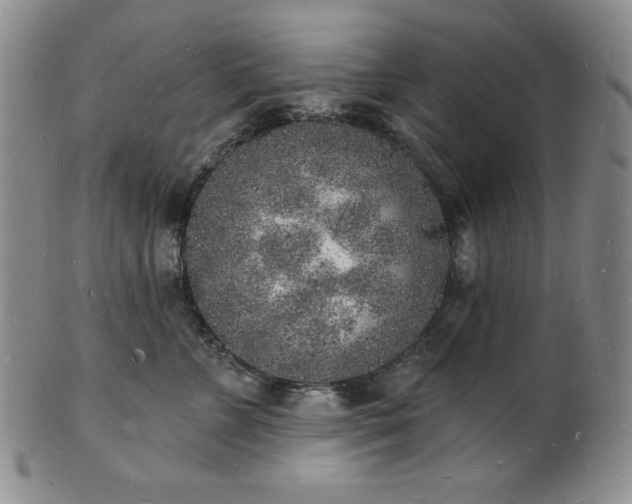 X0000101690715200807171435