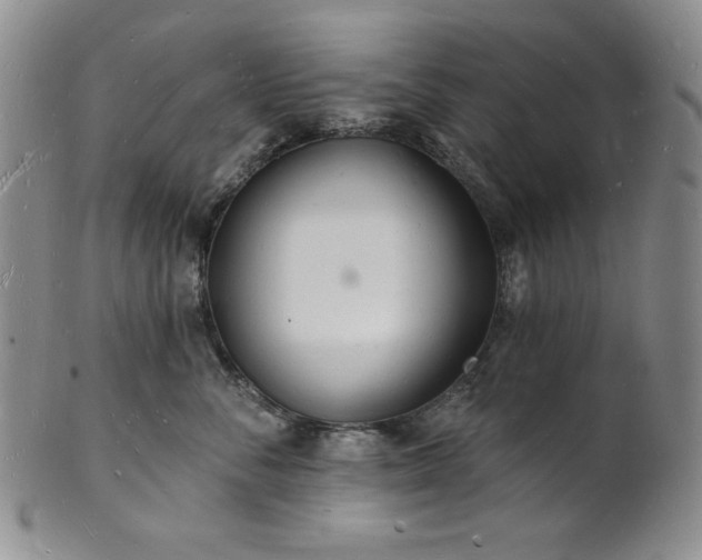 X0000101690716200807171435