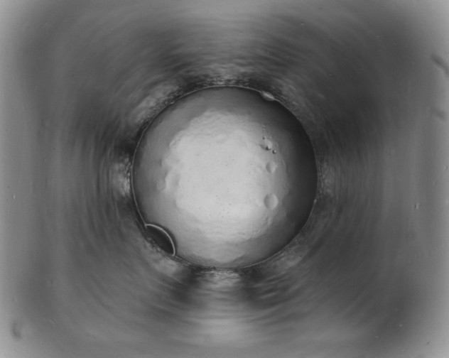 X0000101690719200807171435