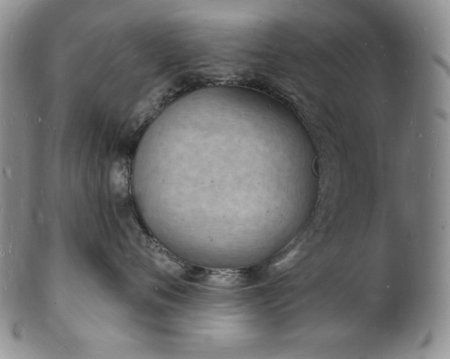 X0000101690720200807171435