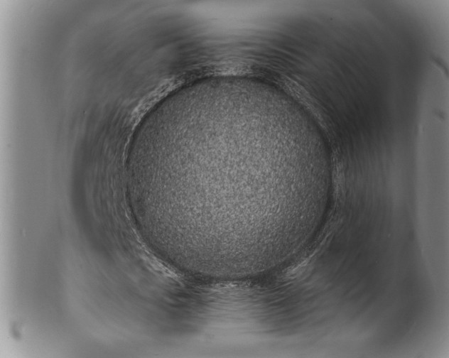 X0000101690721200807171435