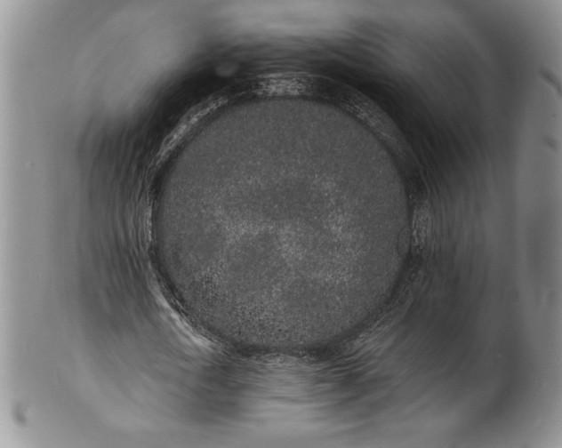 X0000101690722200807171435