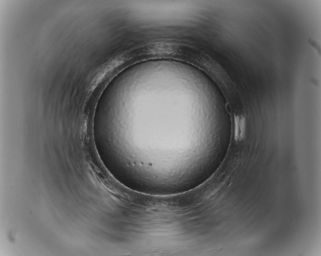 X0000101690723200807171435