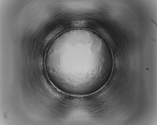 X0000101690725200807171435