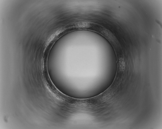 X0000101690726200807171435