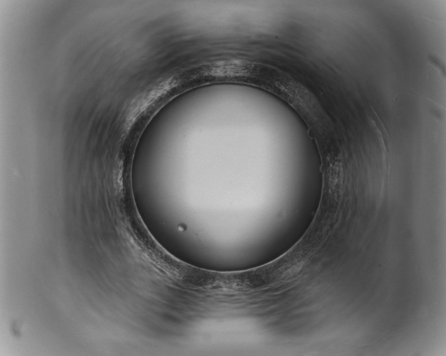 X0000101690727200807171435