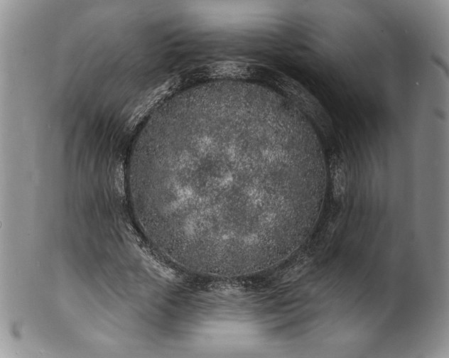 X0000101690729200807171435