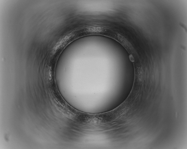 X0000101690731200807171435