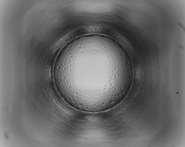 X0000101690733200807171435