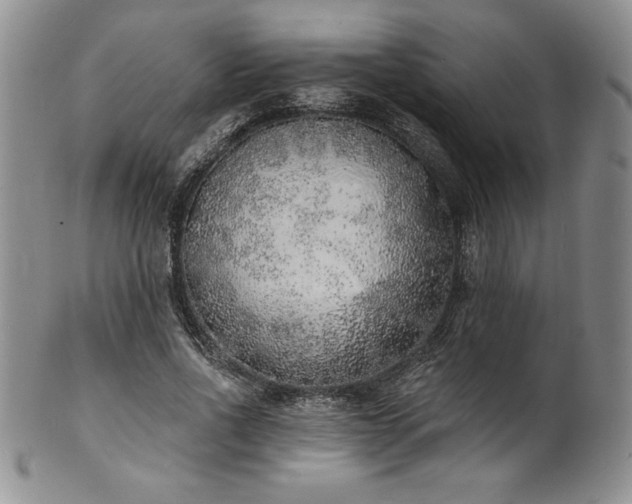 X0000101690734200807171435