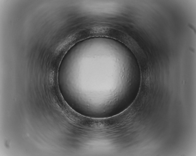 X0000101690735200807171435