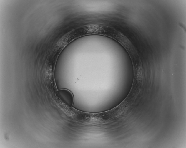 X0000101690737200807171435