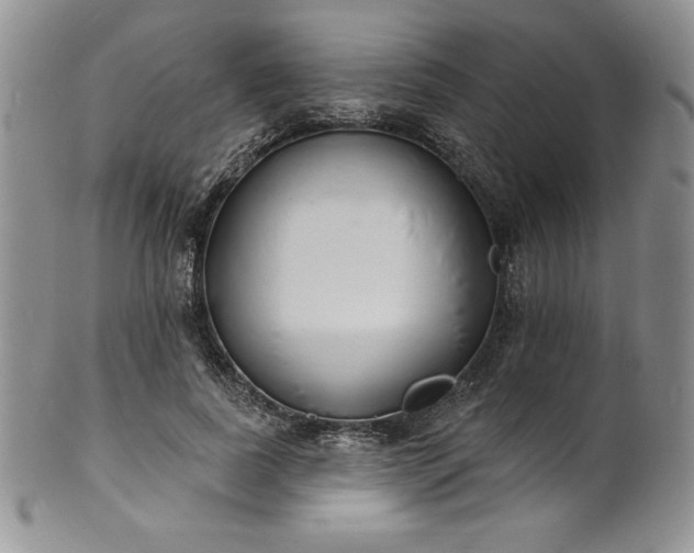 X0000101690739200807171435