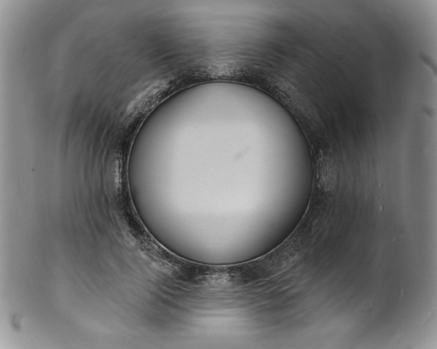 X0000101690740200807171435