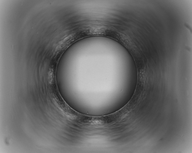 X0000101690741200807171435