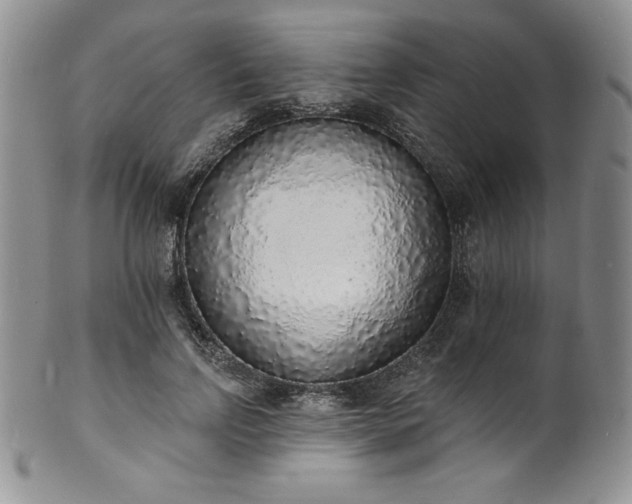 X0000101690742200807171435