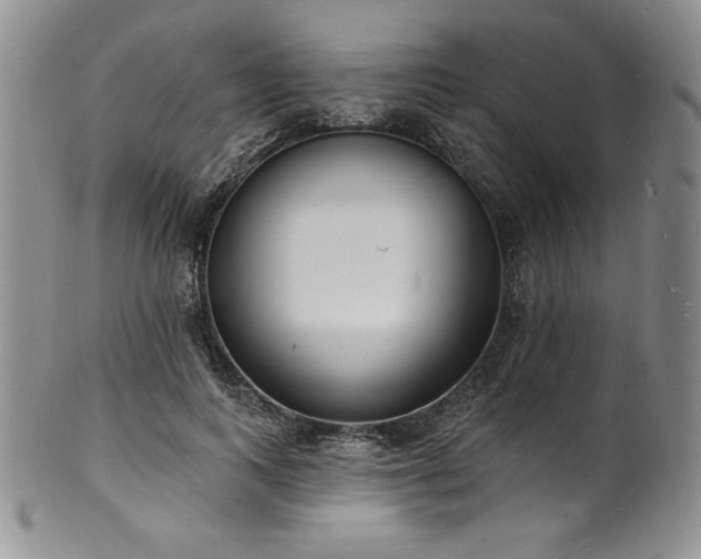 X0000101690743200807171435