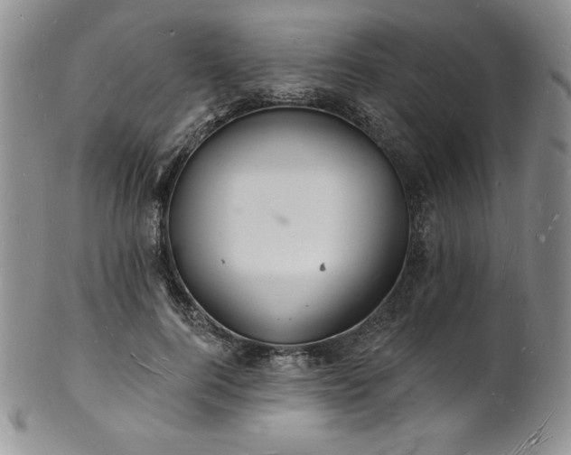 X0000101690744200807171435